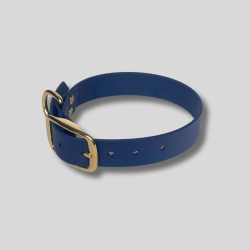Collier simple Biothane® personnalisable pour chien