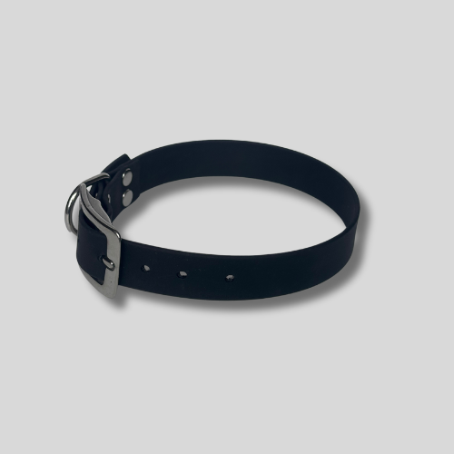 Collier simple Biothane® personnalisable pour chien