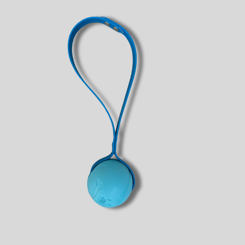 Jouet balle en caoutchouc naturel avec sangle Biothane®️ – Lanceur & tug ultra résistant