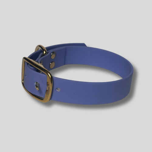 Collier simple Biothane® personnalisable pour chien