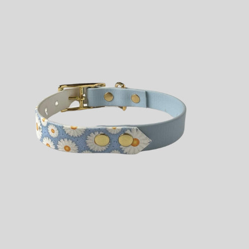 Collier Biothane®️ bicolore avec impression UV pour chien