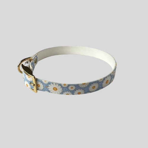 Collier Biothane®️ imprimé UV pour chien