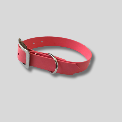 Collier simple Biothane® personnalisable pour chien