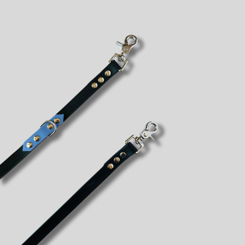 Laisse Biothane®️ pour chien multiposition bandoulière 3M