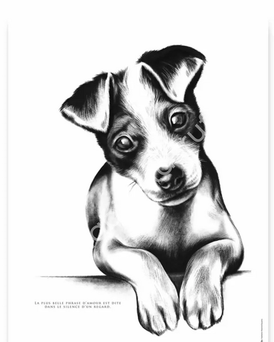 Le Chien Jack Russel – L'Amour Inconditionnel