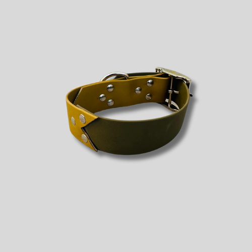 Collier Biothane®️ bicolore 38 mm pour chien-35/43cm