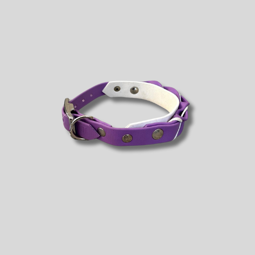 Collier Biothane®️ 20 mm tressée- 29/34cm