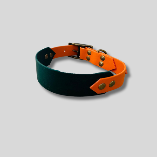 Collier Biothane®️ bi-largeur 25/38 mm, 40-50cm