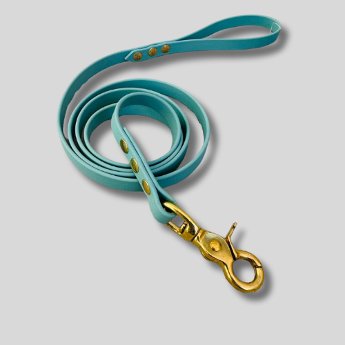 Laisse simple en Biothane®️ 13mmX1,20m dusty turquoise