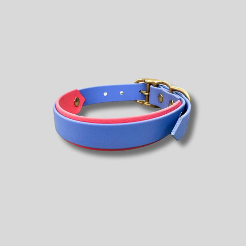 Collier Biothane®️ personnalisable total bi-largeurs pour chien