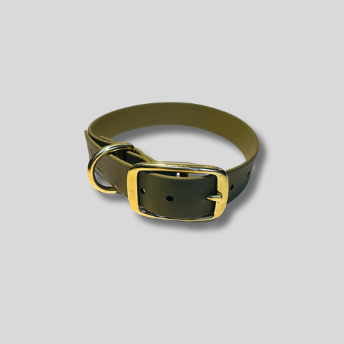 Collier simple Biothane® personnalisable pour chien