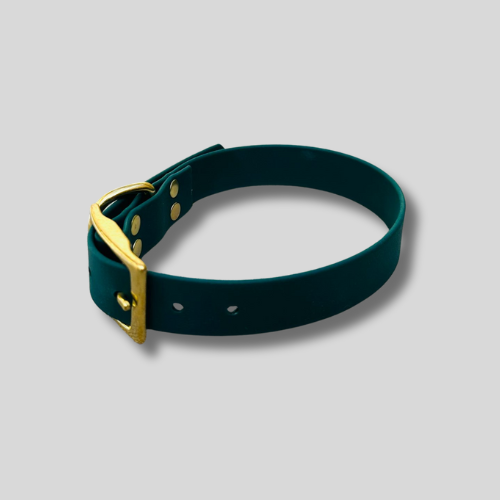 Collier simple Biothane® personnalisable pour chien