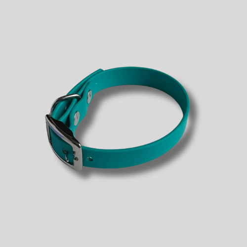 Collier simple Biothane® personnalisable pour chien