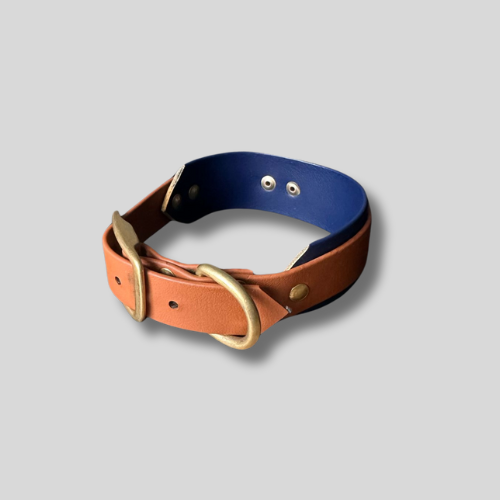 Collier Biothane®️ personnalisable bi-largeurs asymétrique pour chien