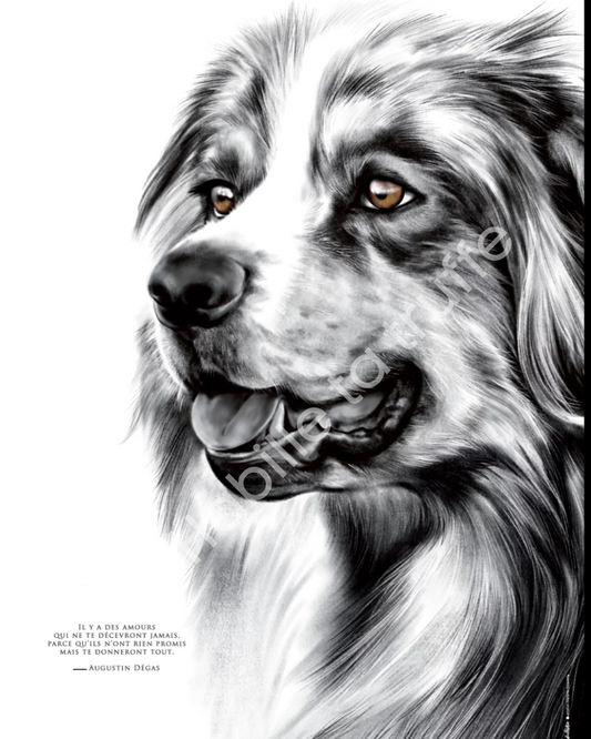 Le Chien Berger – L’Amour