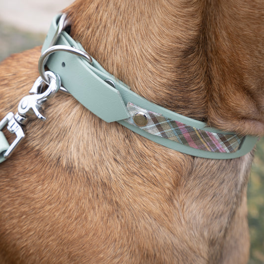 Collier en Biothane®️ vert sauge & tissu interchangeable