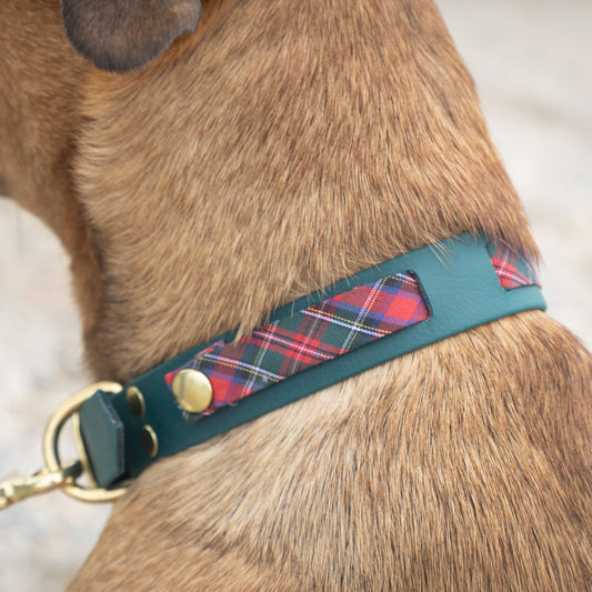 Collier en Biothane®️ vert foncé & tissu interchangeable