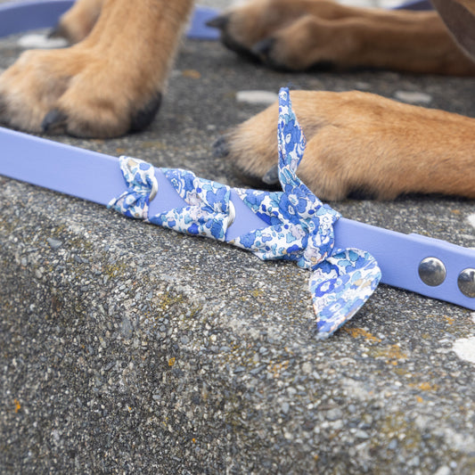 Laisse tressée Biothane®️ & tissu Liberty® pour chien pervenche