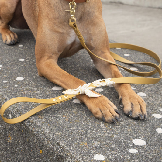 Laisse tressée Biothane®️ & tissu Liberty® pour chien or