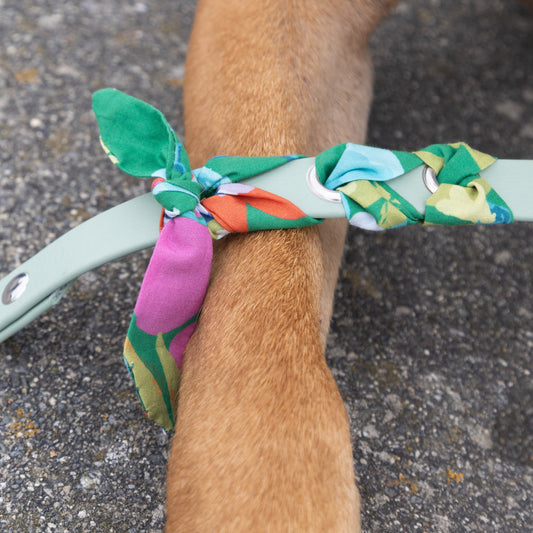 Laisse tressée Biothane®️ & tissu Liberty® pour chien vert sauge