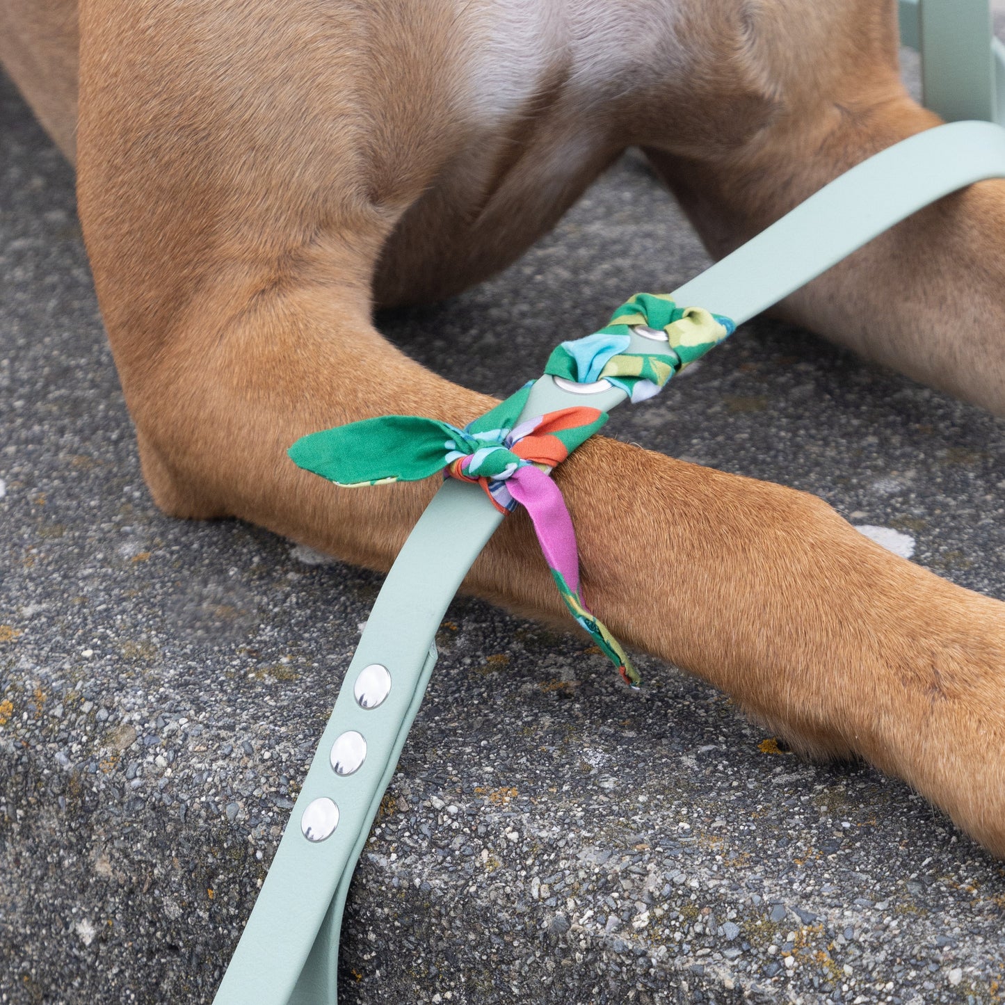 Laisse tressée Biothane®️ & tissu Liberty® pour chien vert sauge