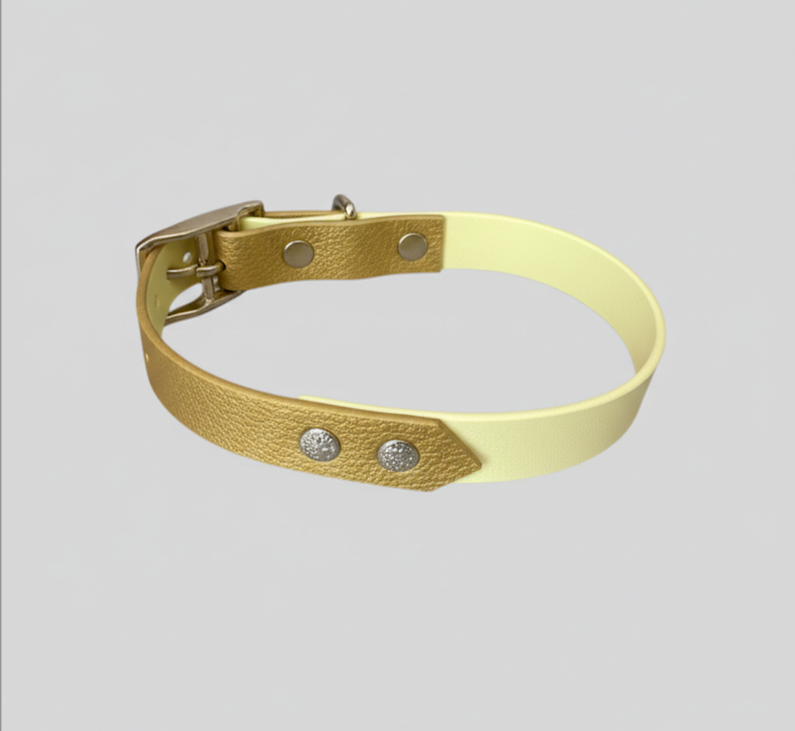 Collier Biothane®️ bicolore personnalisable pour chien