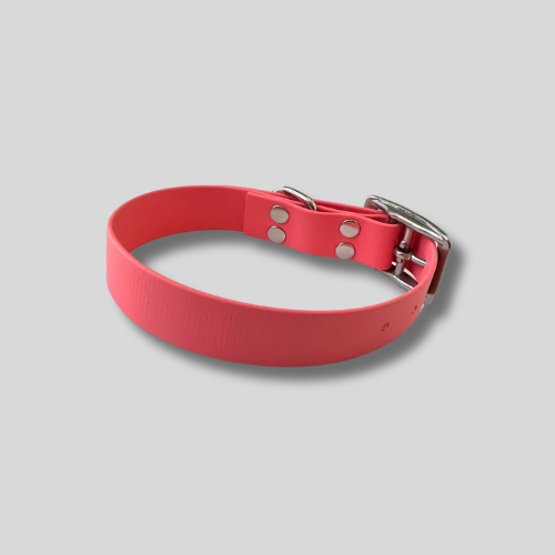 Collier simple Biothane® personnalisable pour chien
