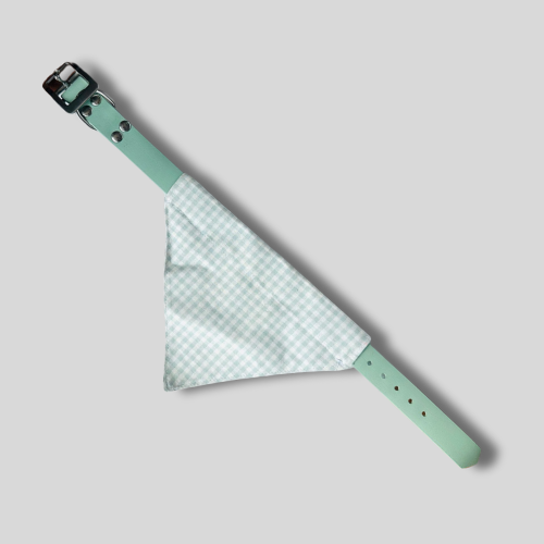 Collier Biothane®️ pour chien avec bandana motif Vichy vert sauge