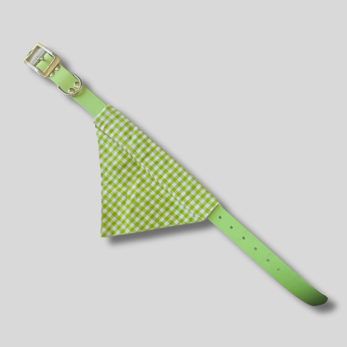 Collier Biothane®️ pour chien avec bandana motif Vichy vert pastel