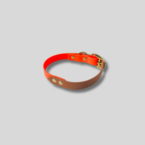 Collier Biothane®️ bicolore personnalisable pour chien
