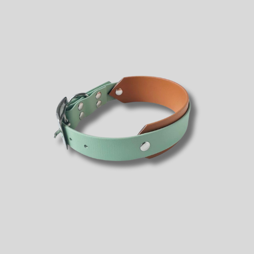 Collier Biothane®️ personnalisable total bi-largeurs pour chien