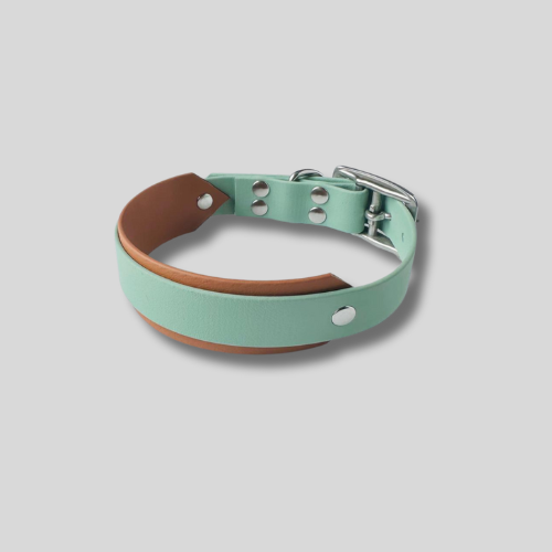 Collier Biothane®️ personnalisable total bi-largeurs pour chien