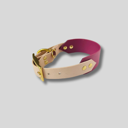 Collier Biothane®️ personnalisable bi-largeurs classique pour chien