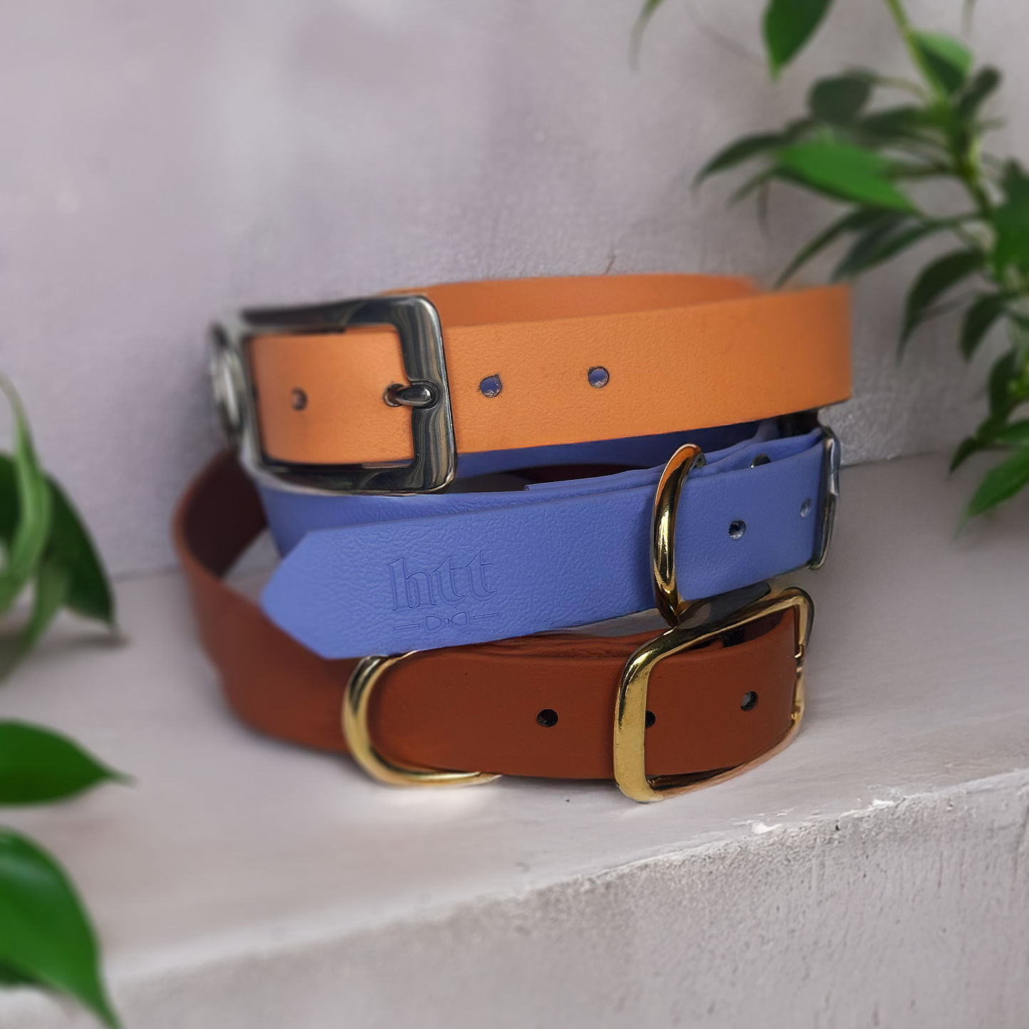 Collier simple Biothane® personnalisable pour chien