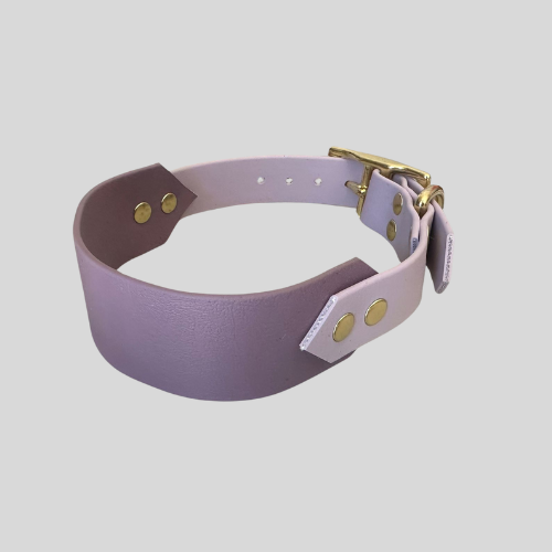 Collier Biothane®️ personnalisable bi-largeurs classique pour chien