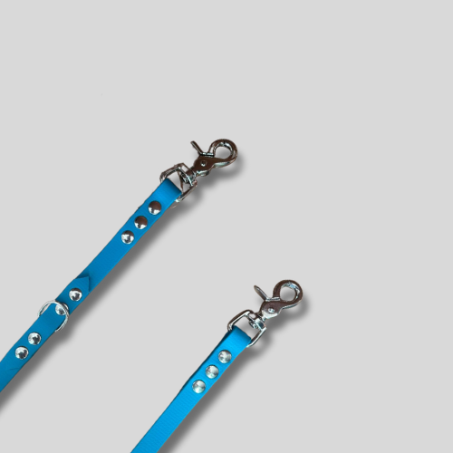 Laisse Biothane®️ pour chien multiposition bandoulière 2,50M