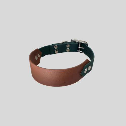 Collier Biothane®️ personnalisable bi-largeurs classique pour chien