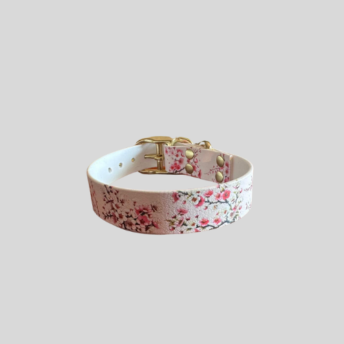 Collier Biothane®️ imprimé UV pour chien