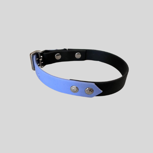 Collier Biothane®️ bicolore personnalisable pour chien