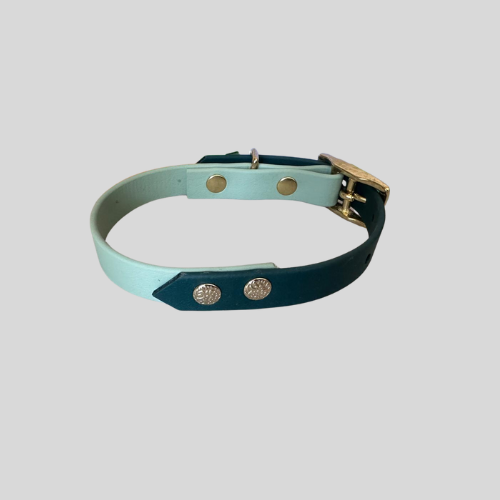 Collier Biothane®️ bicolore personnalisable pour chien