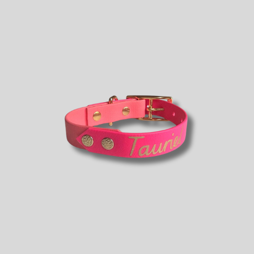 Collier Biothane®️ bicolore personnalisable pour chien