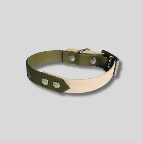 Collier Biothane®️ bicolore personnalisable pour chien
