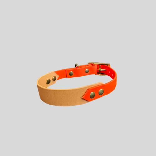 Collier Biothane®️ personnalisable bi-largeurs classique pour chien