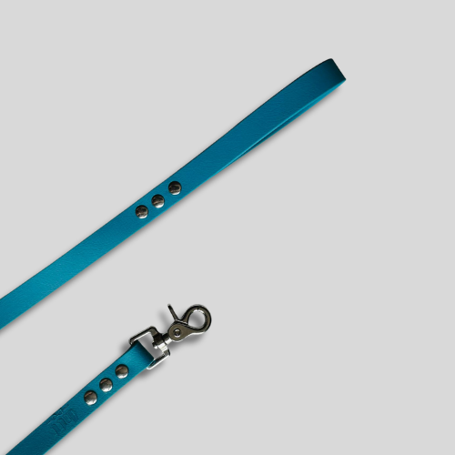 Laisse Biothane®️ simple pour chien 1,50M