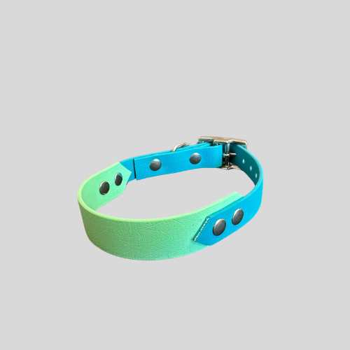 Collier Biothane®️ personnalisable bi-largeurs classique pour chien