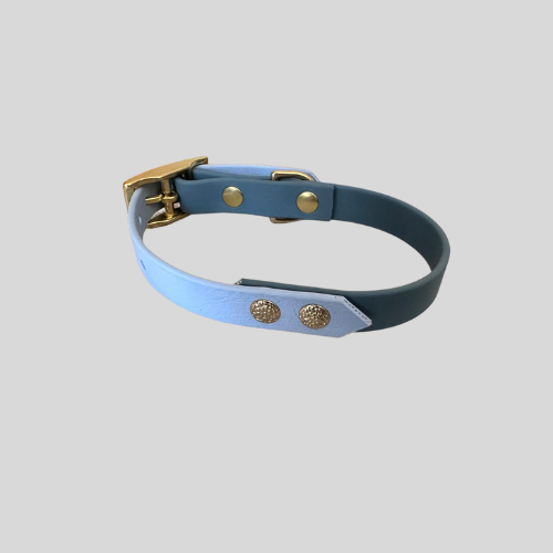 Collier Biothane®️ bicolore personnalisable pour chien