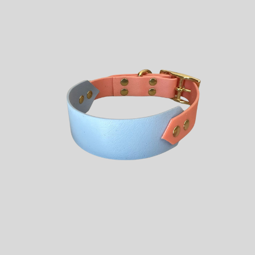 Collier Biothane®️ personnalisable bi-largeurs classique pour chien
