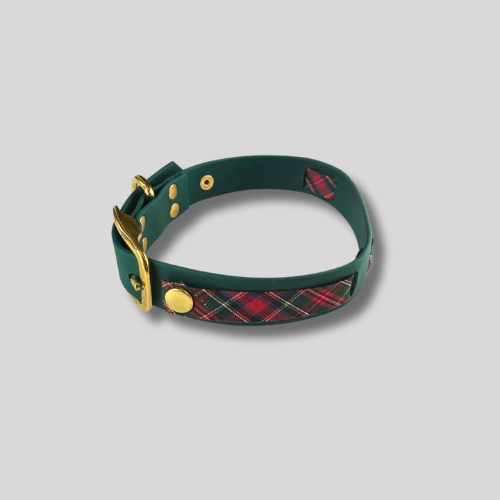 Collier en Biothane®️ vert foncé & tissu interchangeable