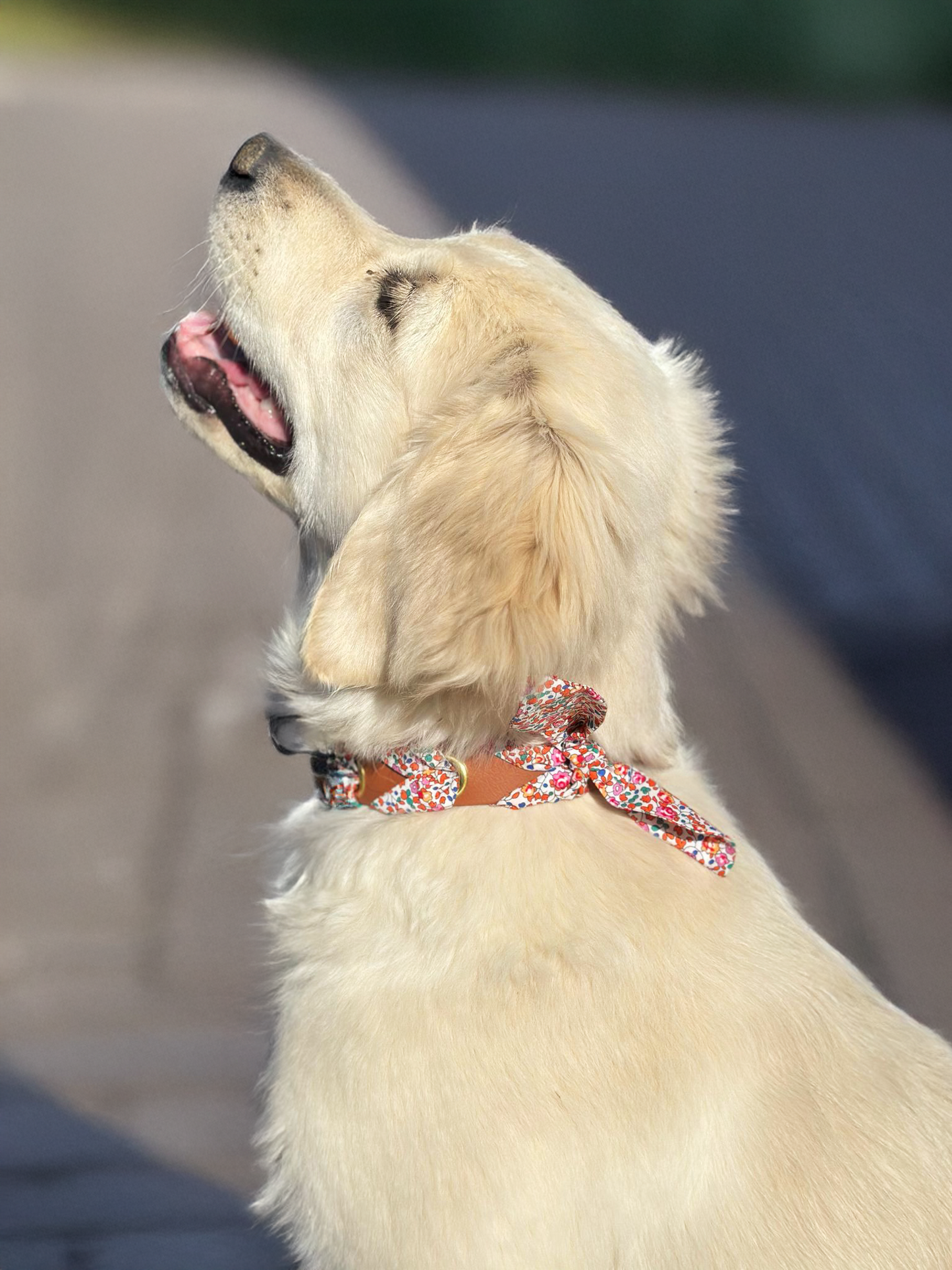 Collier tressé Biothane®️ & tissu Liberty® pour chien marron clair