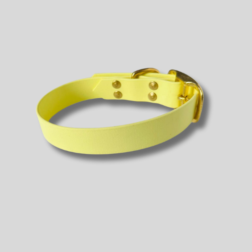 Collier simple Biothane® personnalisable pour chien